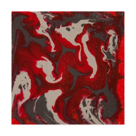 Hilary Winfield 'Liquid Industrial Red Gray' Canvas Art,24x24